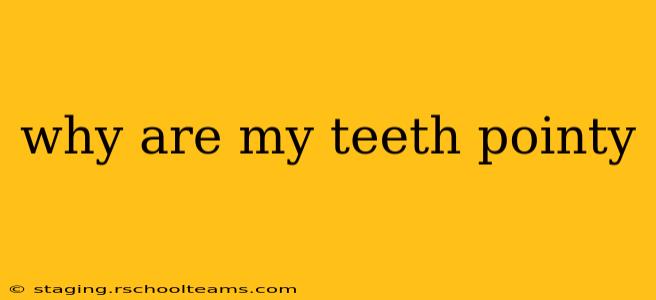 why are my teeth pointy