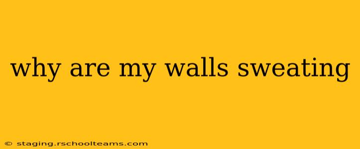 why are my walls sweating