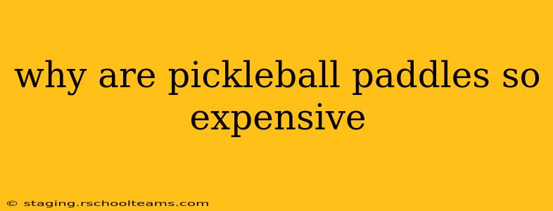 why are pickleball paddles so expensive