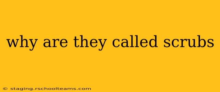 why are they called scrubs