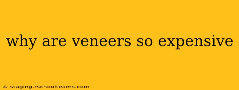 why are veneers so expensive