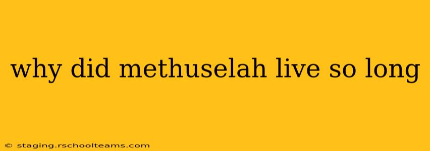 why did methuselah live so long