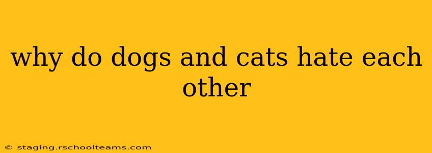 why do dogs and cats hate each other