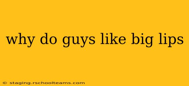 why do guys like big lips