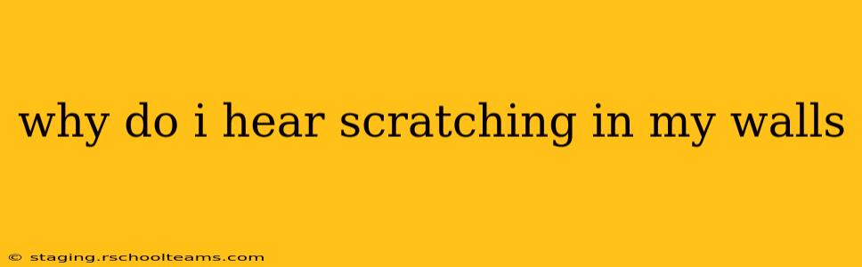 why do i hear scratching in my walls
