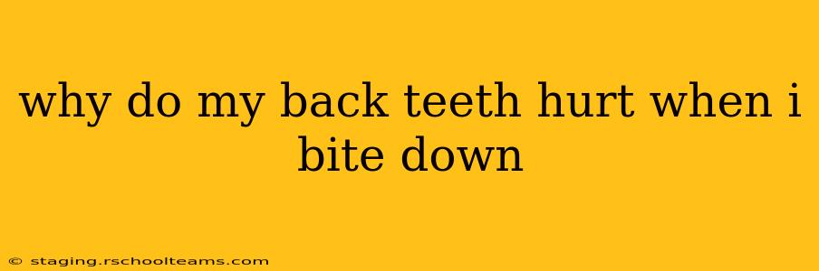 why do my back teeth hurt when i bite down
