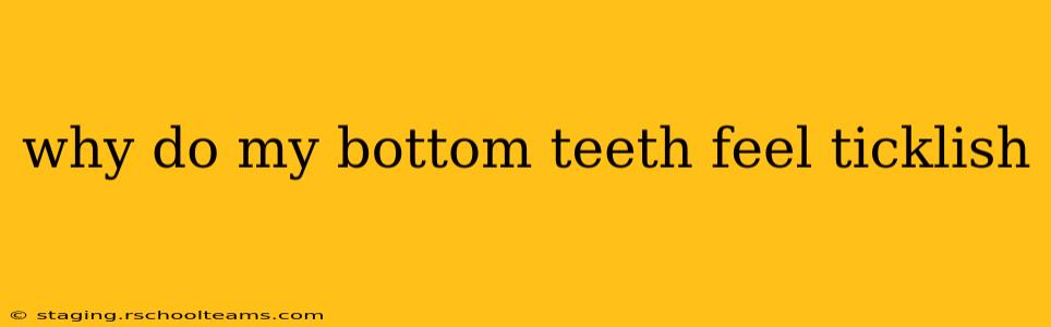why do my bottom teeth feel ticklish