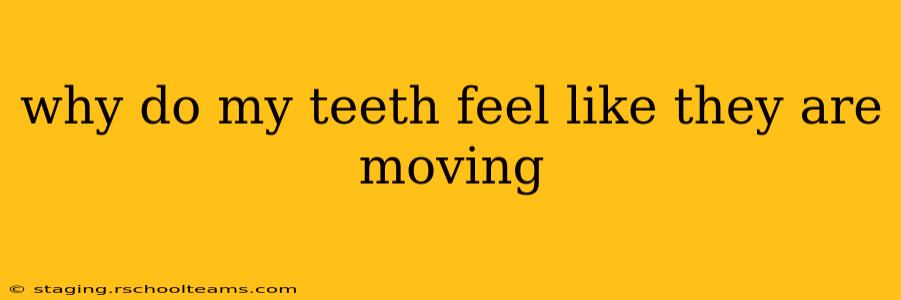 why do my teeth feel like they are moving