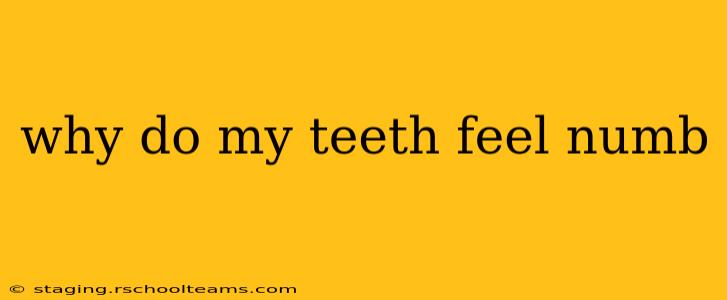 why do my teeth feel numb