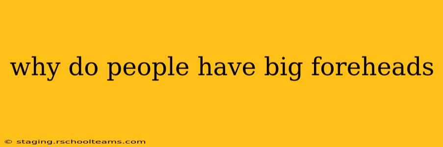 why do people have big foreheads