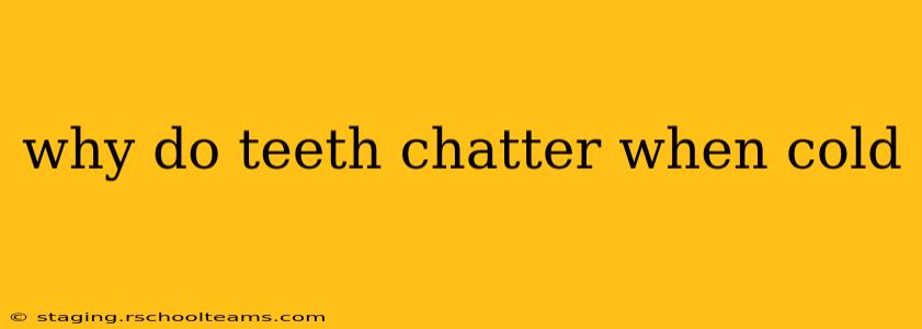 why do teeth chatter when cold