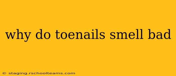 why do toenails smell bad