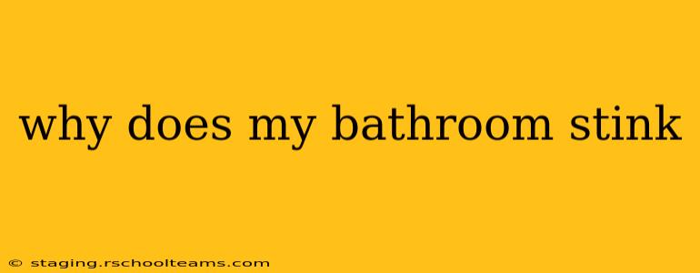 why does my bathroom stink