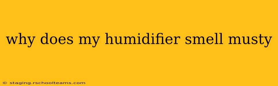 why does my humidifier smell musty