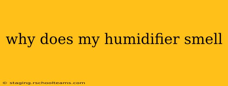 why does my humidifier smell