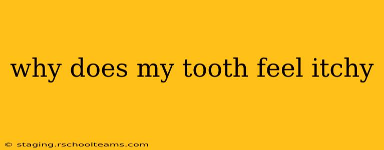 why does my tooth feel itchy