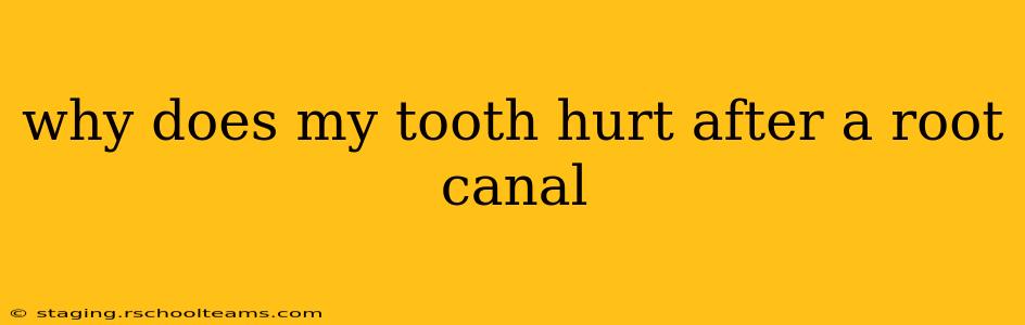 why does my tooth hurt after a root canal