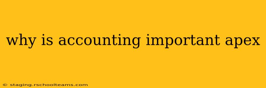 why is accounting important apex