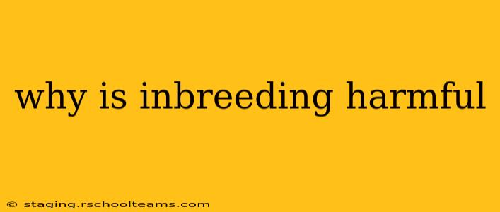 why is inbreeding harmful