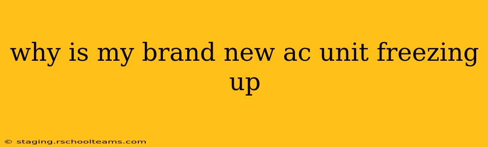 why is my brand new ac unit freezing up