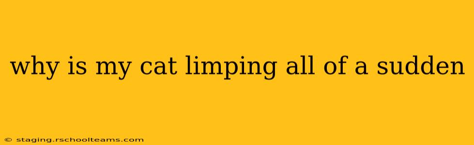 why is my cat limping all of a sudden
