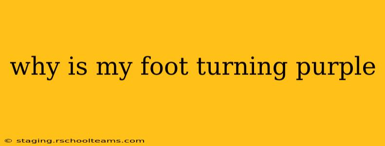 why is my foot turning purple
