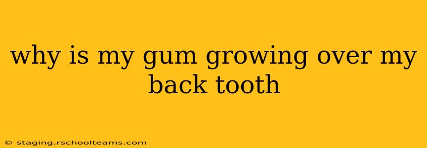 why is my gum growing over my back tooth