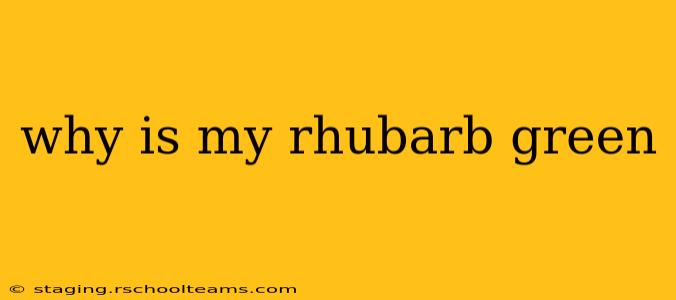 why is my rhubarb green