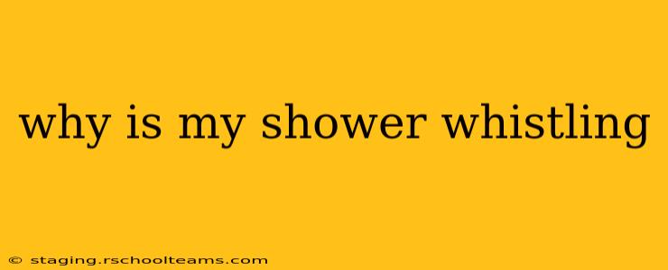 why is my shower whistling