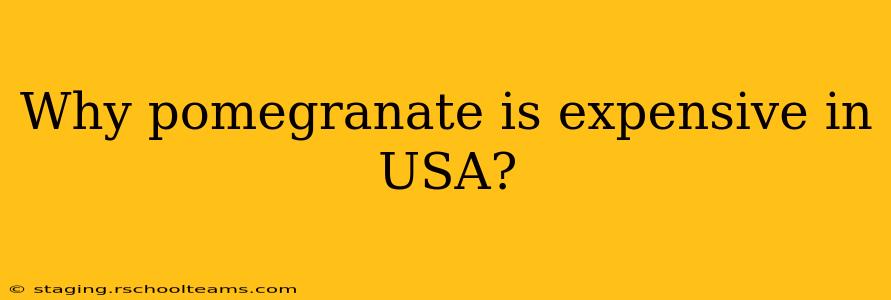 Why pomegranate is expensive in USA?