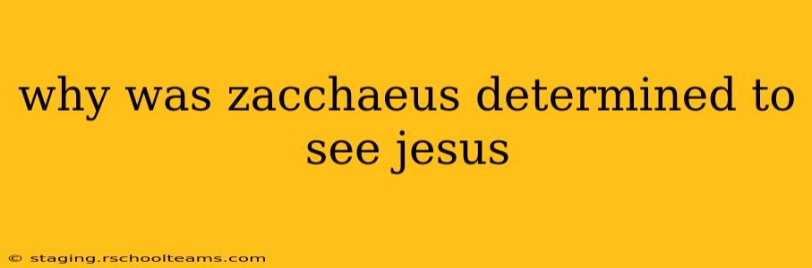 why was zacchaeus determined to see jesus