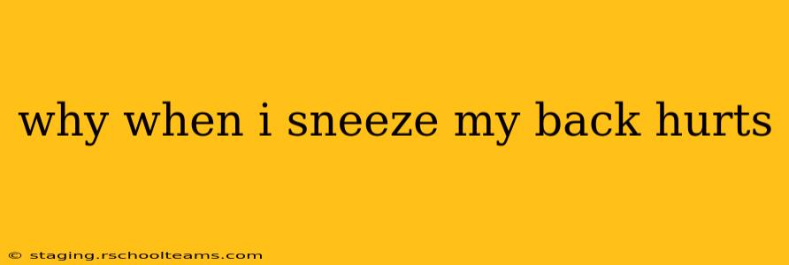 why when i sneeze my back hurts