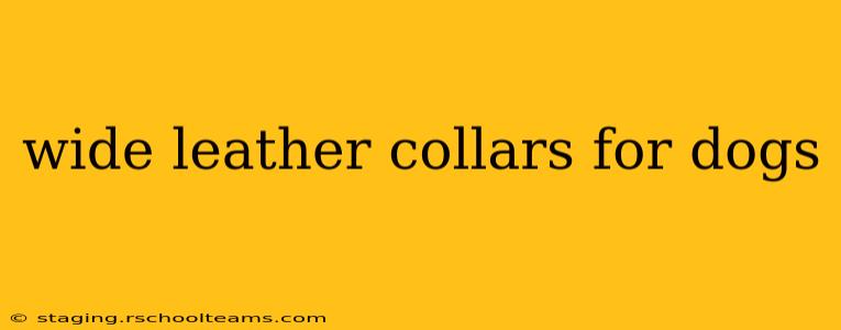 wide leather collars for dogs