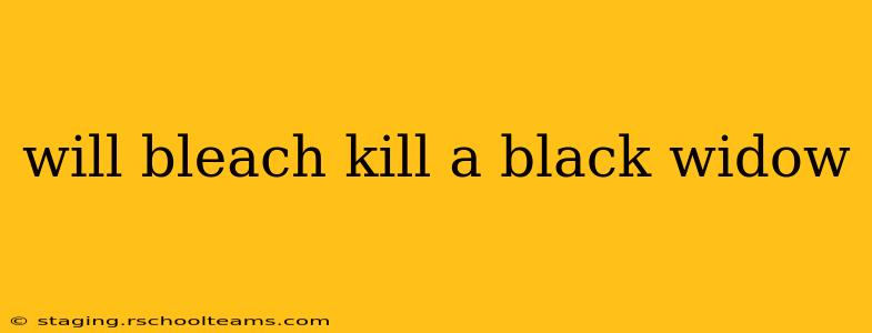 will bleach kill a black widow
