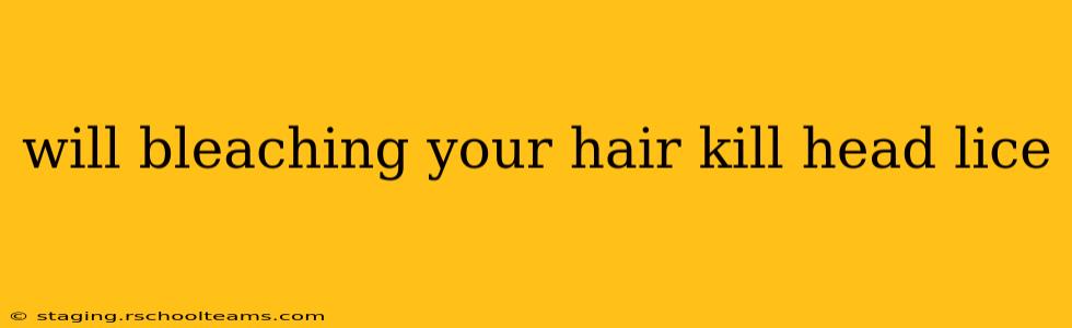 will bleaching your hair kill head lice