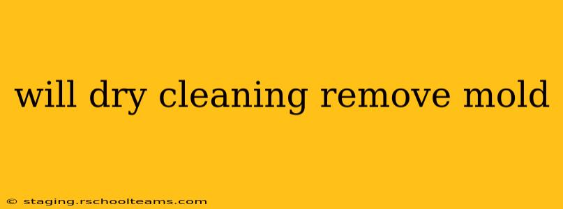 will dry cleaning remove mold