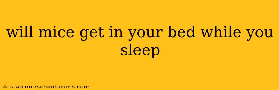 will mice get in your bed while you sleep