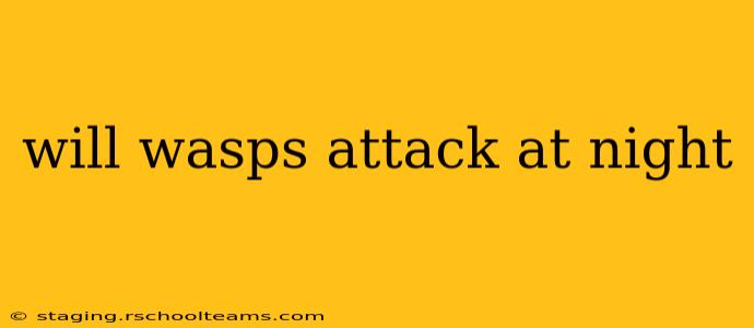 will wasps attack at night