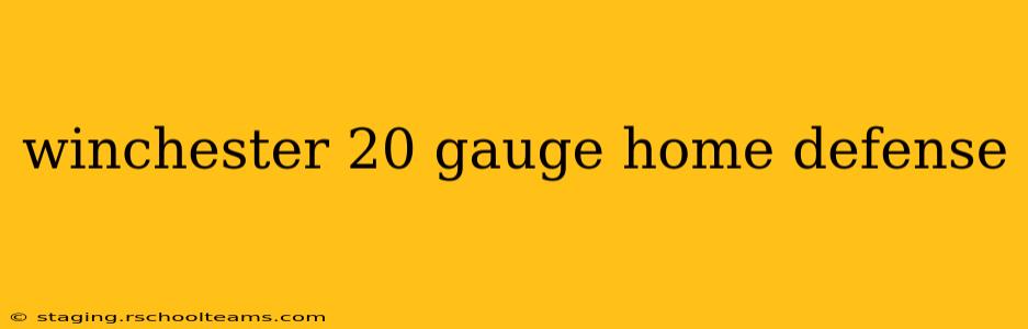 winchester 20 gauge home defense