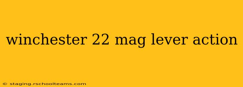 winchester 22 mag lever action