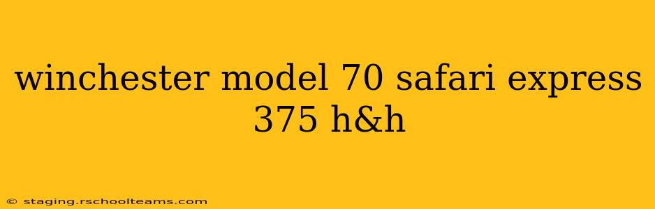 winchester model 70 safari express 375 h&h
