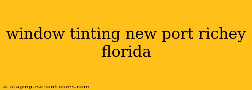 window tinting new port richey florida