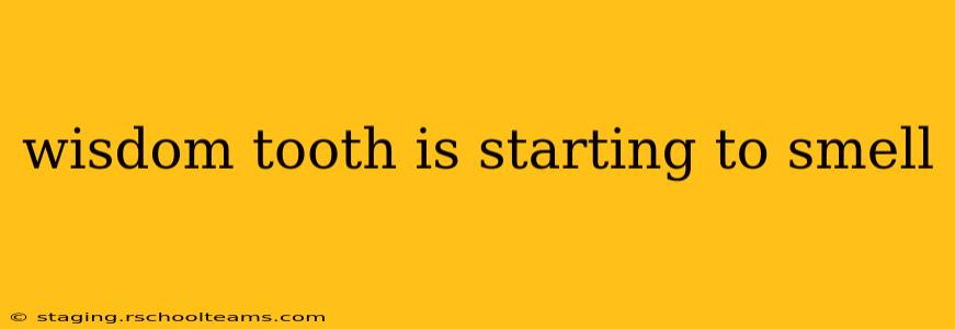 wisdom tooth is starting to smell