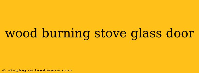 wood burning stove glass door