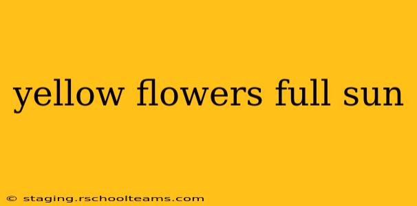 yellow flowers full sun