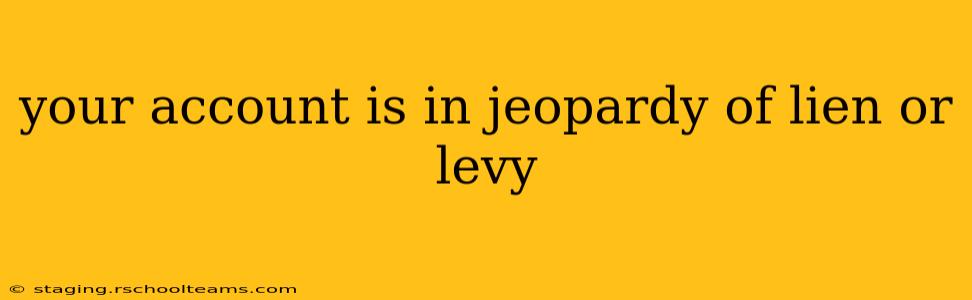 your account is in jeopardy of lien or levy